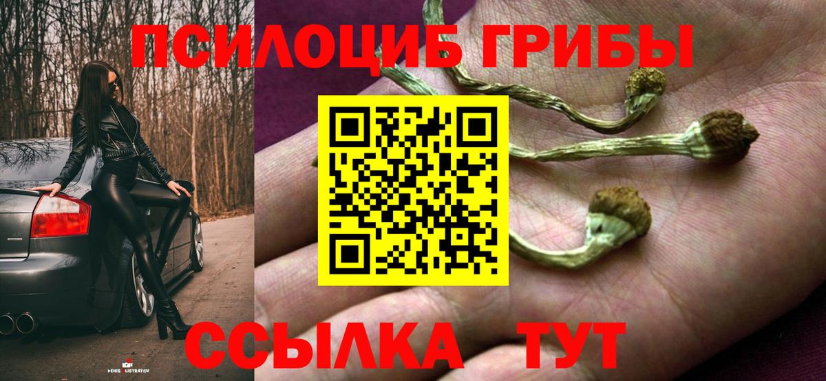 Галлюциногенные грибы Psilocybine cubensis  Галлюциногенные грибы ЛСД  Тосно  Вход с VPN 