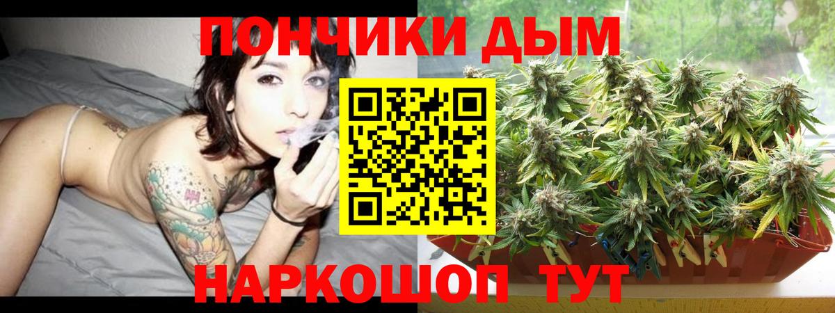 Каннабис планчик  Бошки марихуана семена  Тосно  Вход с VPN 